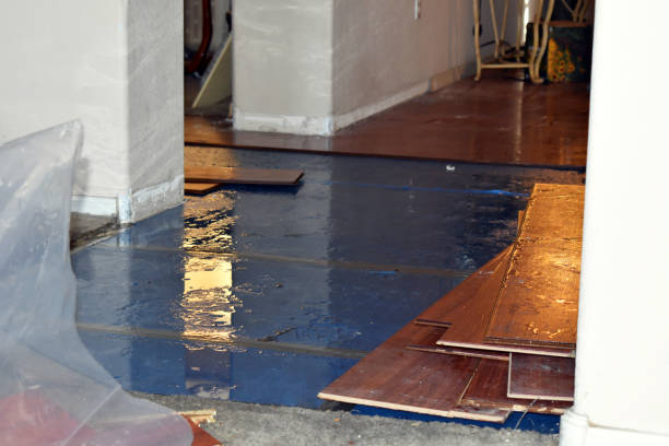 Professional Water Extraction technician working in Alma, AR
